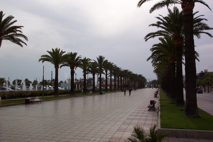 salou 79888939 o