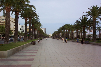 salou 79889351 o